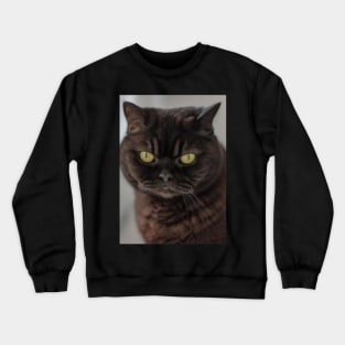 British Shorthair Green Eyes Crewneck Sweatshirt